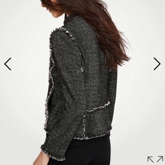 Ann Taylor Tweed Moto Jacket - Picture 2 of 8